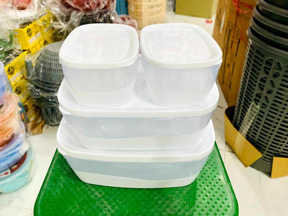 Food Storage Box Container, Pack Of 4