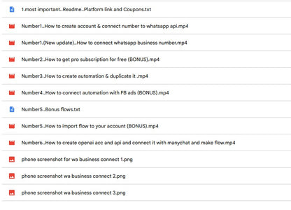 WhatsApp AI Automation Video Guide